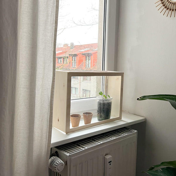 DIY-Gewächshaus für die Fensterbank