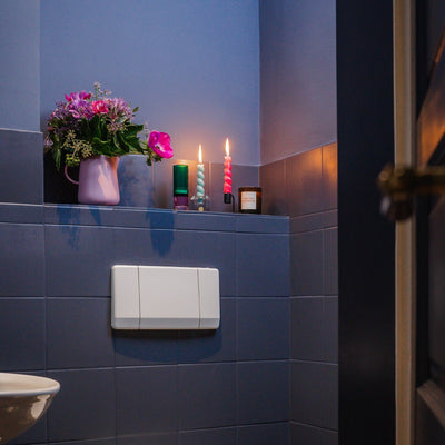 Ein Ton-in-Ton dunkelblau gestrichenes Bad mit einigen bunten Accessoires ist zu sehen.  